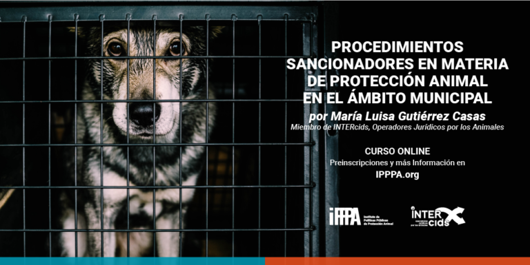 Procedimientos sancionadores en materia de protección animal en el ámbito municipal