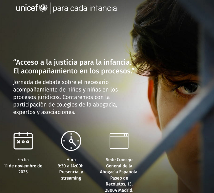 Acceso a la justicia para la infancia. El acompañamiento en los procesos
